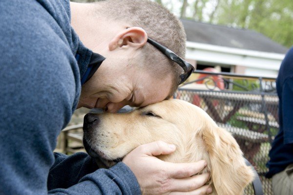 Coming Soon to a Funeral Home Near You: Canine Comforting